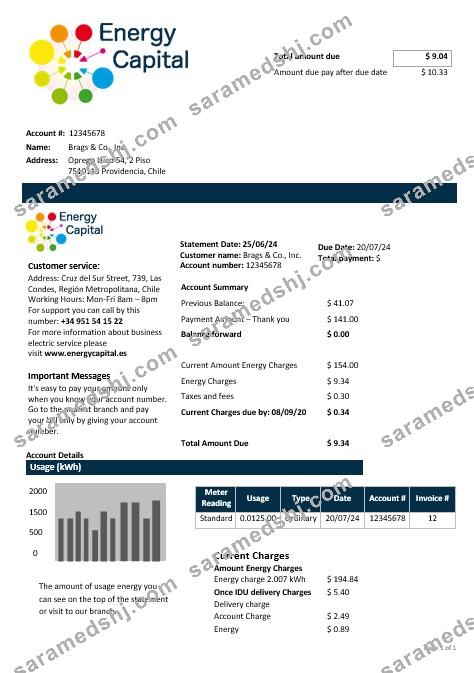 Chile Energy Capital business utility bill template in Word and pdf formats